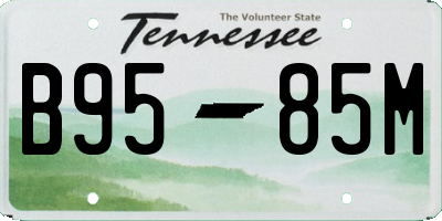 TN license plate B9585M