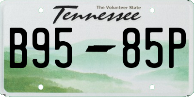 TN license plate B9585P