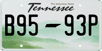 TN license plate B9593P