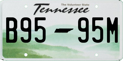 TN license plate B9595M