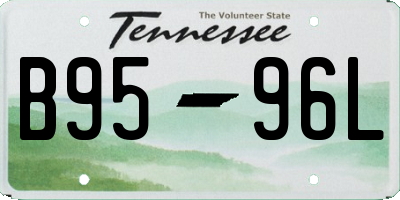 TN license plate B9596L