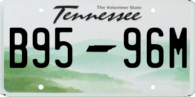 TN license plate B9596M