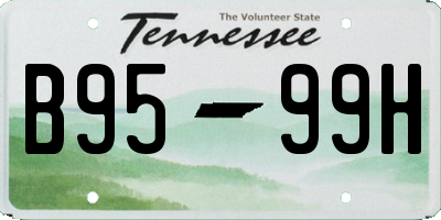 TN license plate B9599H
