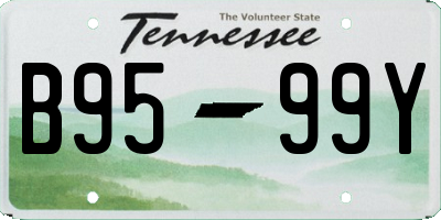 TN license plate B9599Y