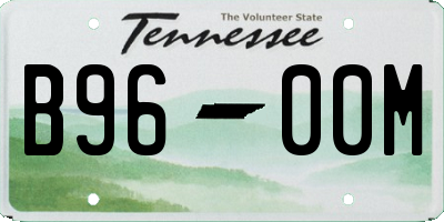 TN license plate B9600M