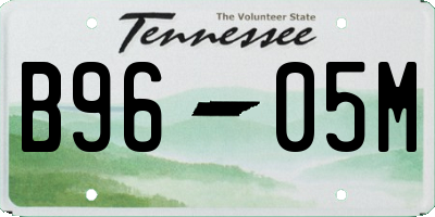 TN license plate B9605M