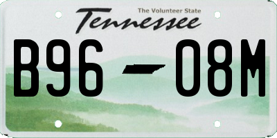 TN license plate B9608M