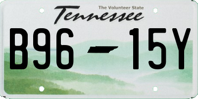 TN license plate B9615Y