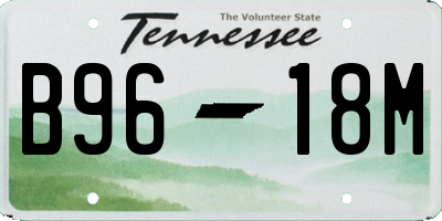 TN license plate B9618M