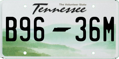 TN license plate B9636M