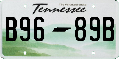 TN license plate B9689B