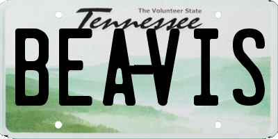 TN license plate BEAVIS