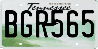 TN license plate BGR565