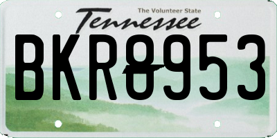 TN license plate BKR8953