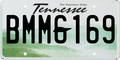 TN license plate BMM6169