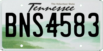 TN license plate BNS4583