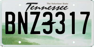 TN license plate BNZ3317