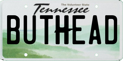 TN license plate BUTHEAD