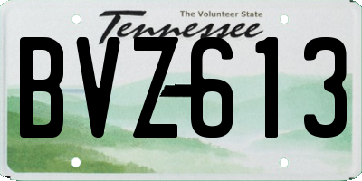 TN license plate BVZ613