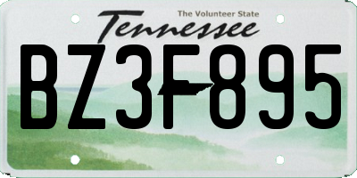 TN license plate BZ3F895