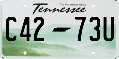 TN license plate C4273U