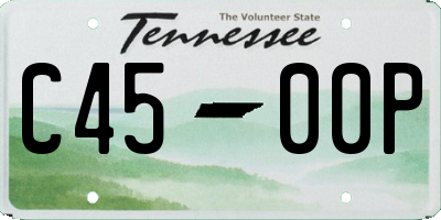 TN license plate C4500P