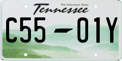 TN license plate C5501Y
