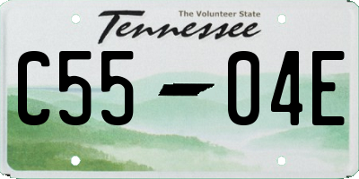 TN license plate C5504E