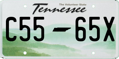 TN license plate C5565X