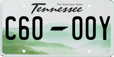 TN license plate C6000Y