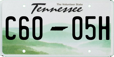 TN license plate C6005H
