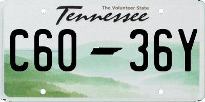 TN license plate C6036Y