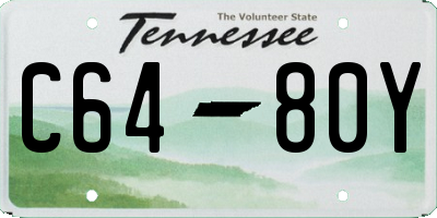 TN license plate C6480Y