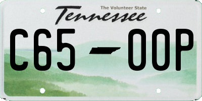 TN license plate C6500P