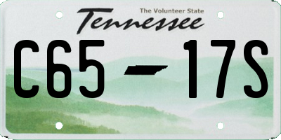TN license plate C6517S