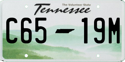 TN license plate C6519M