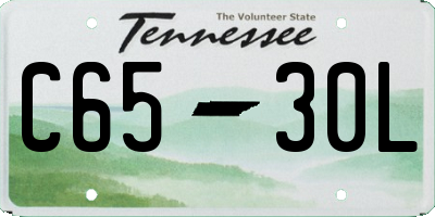 TN license plate C6530L