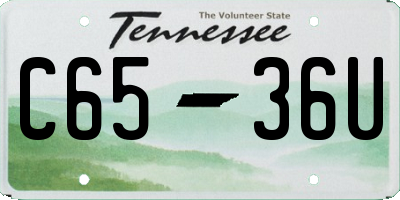 TN license plate C6536U