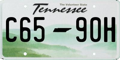 TN license plate C6590H