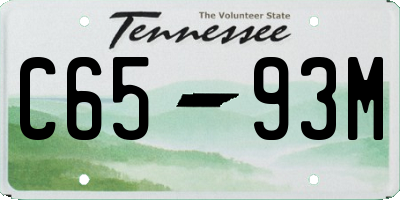 TN license plate C6593M