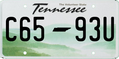 TN license plate C6593U