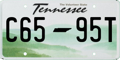 TN license plate C6595T