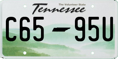 TN license plate C6595U