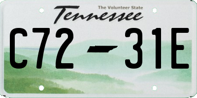 TN license plate C7231E