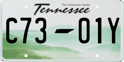 TN license plate C7301Y