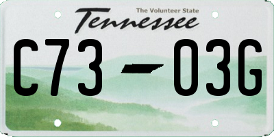 TN license plate C7303G