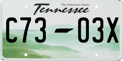 TN license plate C7303X