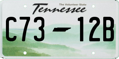 TN license plate C7312B