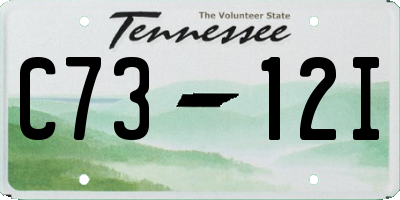 TN license plate C7312I