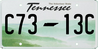 TN license plate C7313C